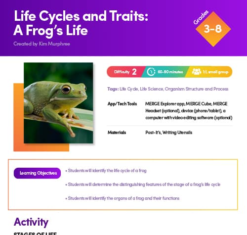 Frogs Life Cycle